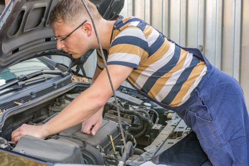 © Getty Spätestens beim fachmännischen Blick in den Motorraum kommt oft das böse Erwachen: ein Marder hat gewütet und mitunter erheblichen Schaden verursacht.