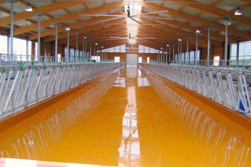 © Avenarius Agro Kunstharzböden sind aufgrund der hohen Hygienestandards prädestiniert für Stallungen und die Milchwirtschaft. 