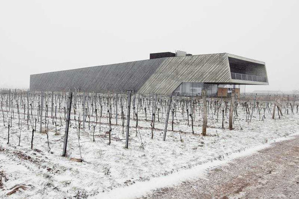 © A & I photography
Weingut Preisinger, Gols, von propeller z