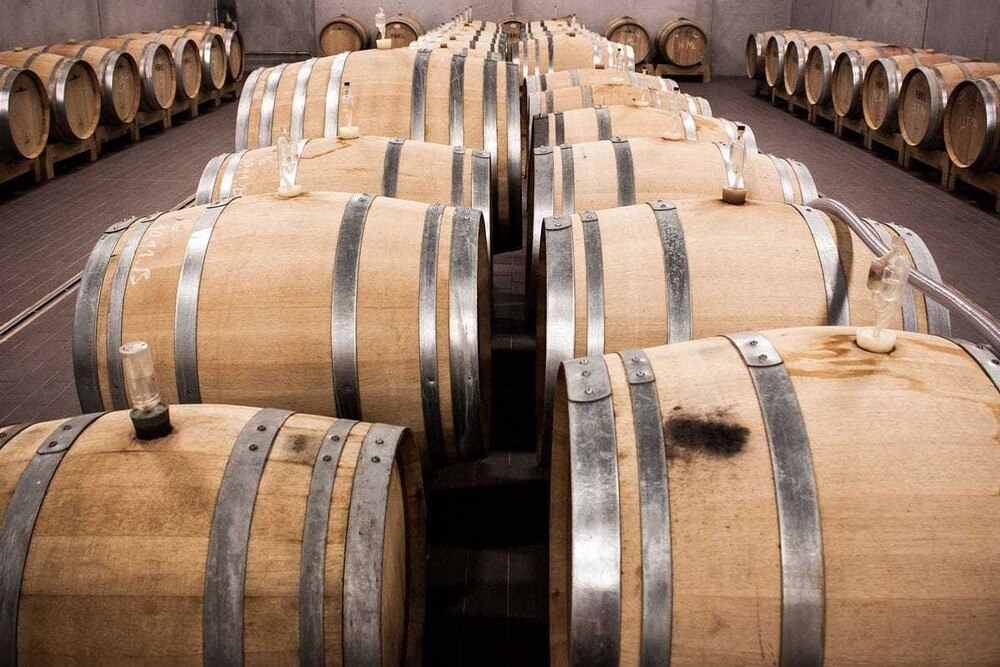 © pixabay
Bioweine könneneine interessante Alternative auf der Weinkarte sein Bioweine könneneine interessante Alternative auf der Weinkarte sein