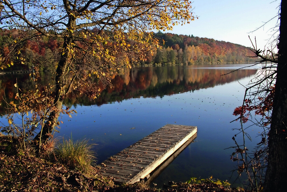 © Seelentium – Wohlfühlregion Oberes Innviertel
Höllerersee: Kleine, meist nur lokal bekannte Gewässer standen Pate für den ersten Wortteil von Seelentium. Höllerersee: Kleine, meist nur lokal bekannte Gewässer standen Pate für den ersten Wortteil von Seelentium.