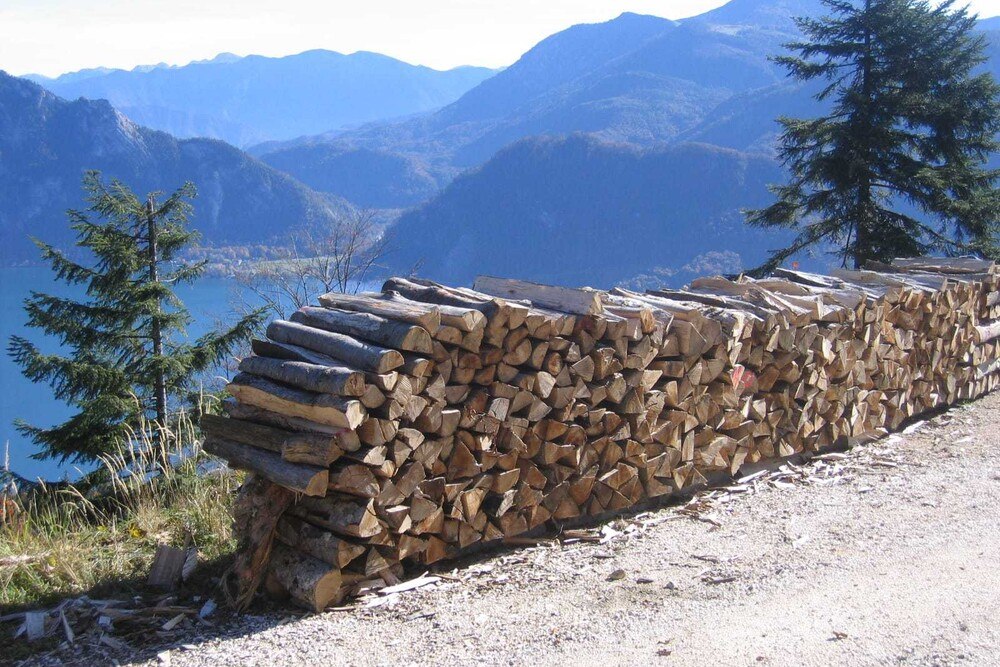 Es könnte mehr Holz sein, dass in Oberösterreich zur Energiewende eingesetzt wird.
© Steinegger/Biomasseverband Es könnte mehr Holz sein, dass in Oberösterreich zur Energiewende eingesetzt wird.