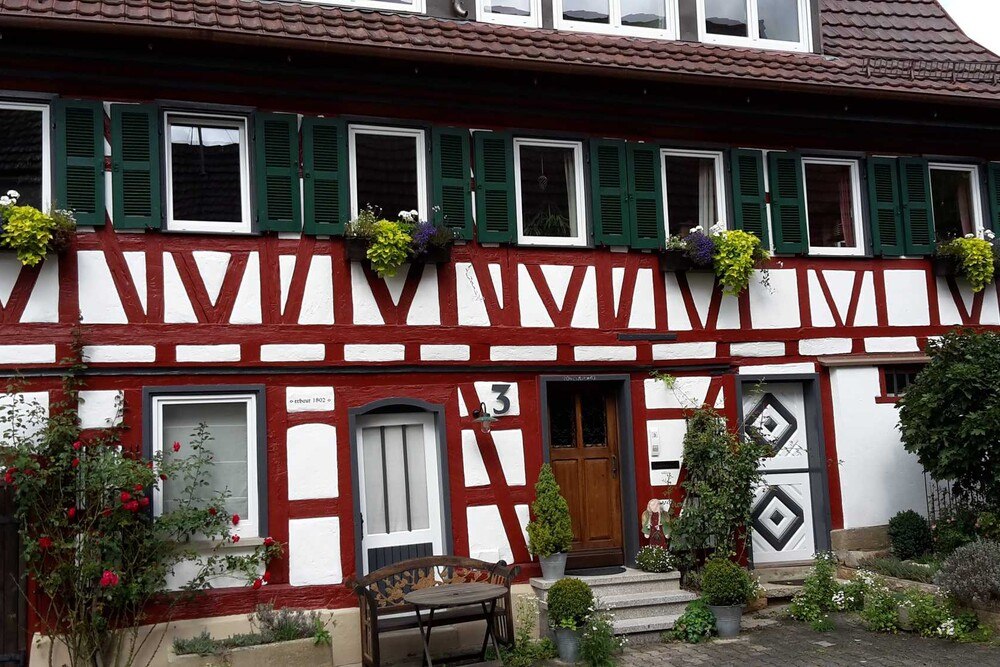 Frische Farben von Adler.
© Privat Frische Farben von Adler.