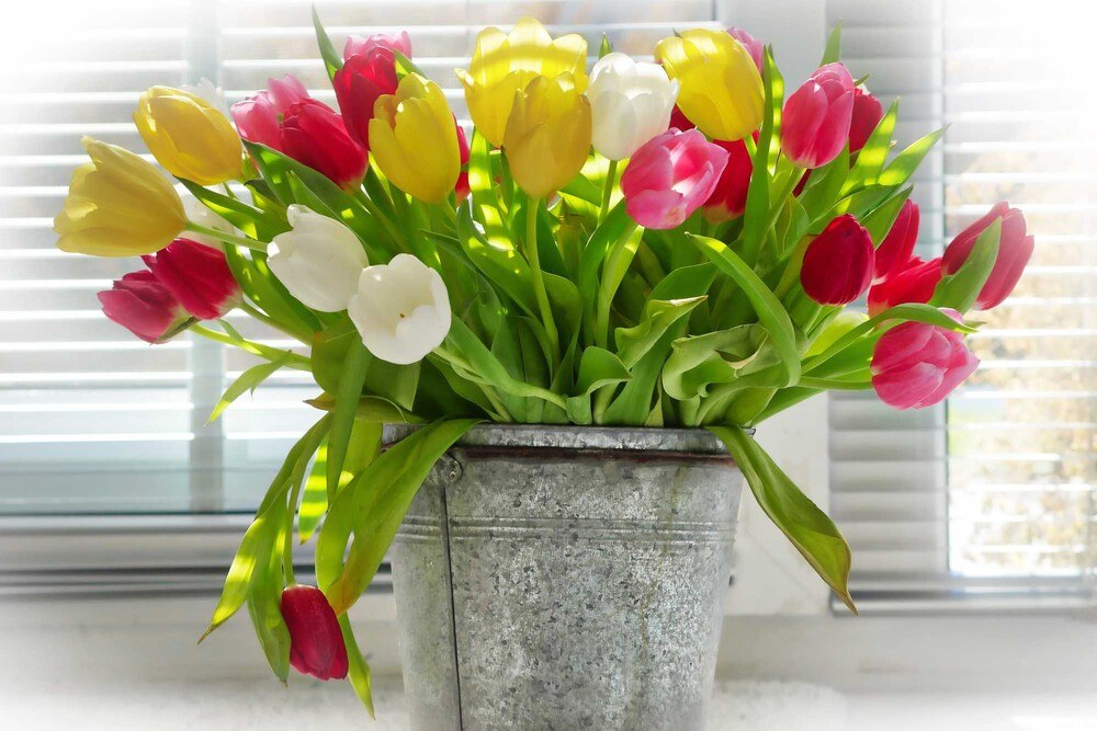© www.pixabay.com
Ein duftender Blumenstrauß oder frisch aufgebrühter Kaffee erzeugen bei der Besichtigung ein wohliges Gefühl. Ein duftender Blumenstrauß oder frisch aufgebrühter Kaffee erzeugen bei der Besichtigung ein wohliges Gefühl.