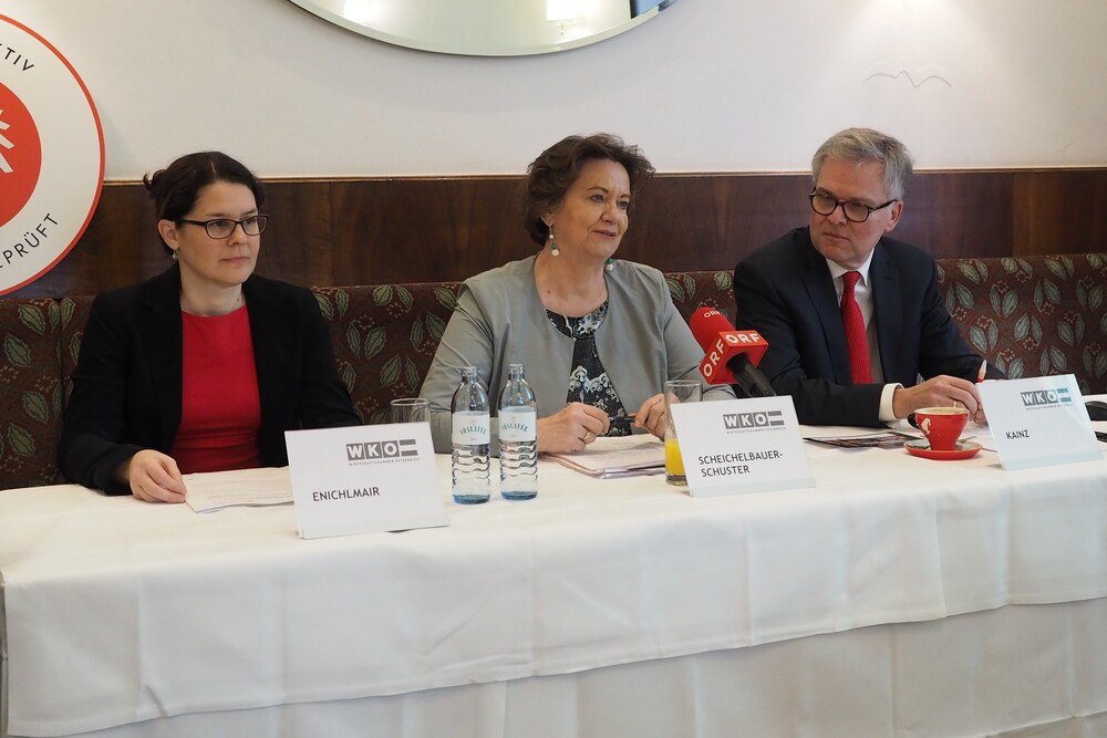 © Hauzenberger
Cristina Enichlmair (KMU Forschung), Renate Scheichelbauer-Schuster und Reinhard Kainz können auf ein erfolgreiches Jahr der Sparte Gewerbe und Handwerk zurückblicken. Cristina Enichlmair (KMU Forschung), Renate Scheichelbauer-Schuster und Reinhard Kainz können auf ein erfolgreiches Jahr der Sparte Gewerbe und Handwerk zurückblicken.