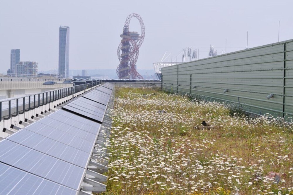 Biodiversitätsdach mit brütendem Vogel, getrennt von seitlich gelagerter Photovoltaik, mitten in London.
© Dusty Gedge Biodiversitätsdach mit brütendem Vogel, getrennt von seitlich gelagerter Photovoltaik, mitten in London.