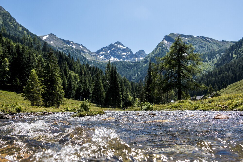 © Steiermark Tourismus / Gleichweit-Nistelberger
Urlaub in der Natur ist im Kommen. Hier: Kaibling-Runde in Haus im Ennstal. Urlaub in der Natur ist im Kommen. Hier: Kaibling-Runde in Haus im Ennstal.
