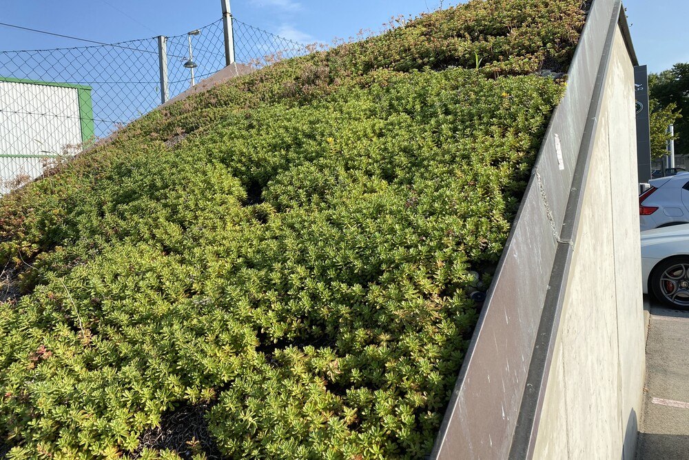 Nicht nur auf Flachdächern, auch auf geneigten Dächern kann Wasser retentiert werden.
