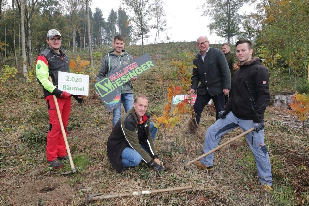 © Malerei Wiesinger
Von links nach rechts Stefan Greiner, Andreas Wiesinger, Ing. Johann Zauner, Bgm. Ing. Johann Plakolm, Johann Weinzinger, Thomas Engleder, Waldings Bürgermeister Ing Plakolm und der Obmann der Ortsbauernschaft Walding Ing. Zauner halfen bei der Anpflanzung der Baumsetzlinge gleich kräftig mit. Von links nach rechts Stefan Greiner, Andreas Wiesinger, Ing. Johann Zauner, Bgm. Ing. Johann Plakolm, Johann Weinzinger, Thomas Engleder, Waldings Bürgermeister Ing Plakolm und der Obmann der Ortsbauernschaft Walding Ing. Zauner halfen bei der Anpflanzung der Baumsetzlinge gleich kräftig mit.