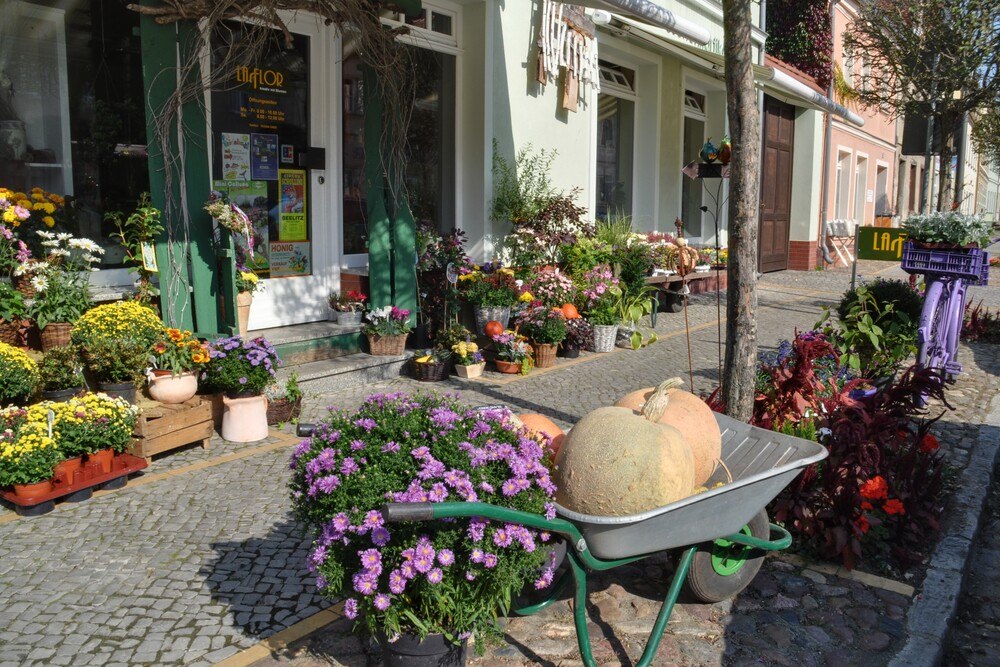 Mieter aus dem lokalen Umfeld wie Blumenläden führen weit mehr als überregionale oder globale Einzelhandelsketten zu resilienteren Strukturen.
© Michael Helm / pixelio.de Mieter aus dem lokalen Umfeld wie Blumenläden führen weit mehr als überregionale oder globale Einzelhandelsketten zu resilienteren Strukturen.