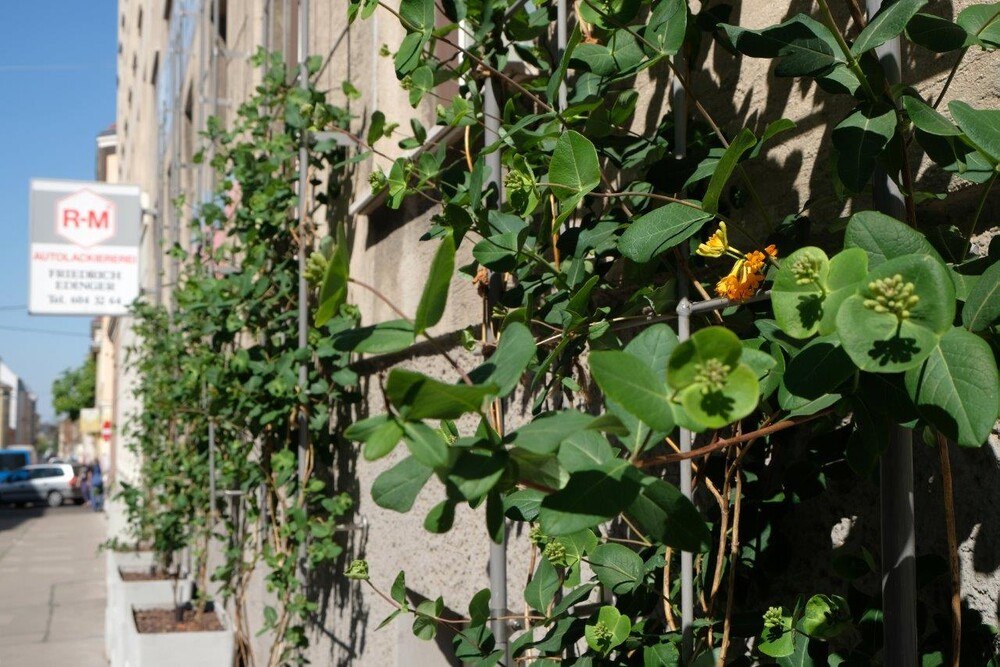 © Julia Beck / Tatwort
Für das Modul „BeRTA“, nun auch für ganz Wien verfügbar, gibt es eine Förderung von knapp 6.900 Euro pro Projekt. Für das Modul „BeRTA“, nun auch für ganz Wien verfügbar, gibt es eine Förderung von knapp 6.900 Euro pro Projekt.