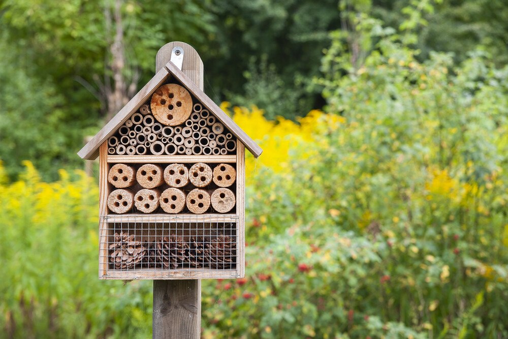 Immer grüner werden Hotels (nicht nur für Bienen).
© getty images Immer grüner werden Hotels (nicht nur für Bienen).