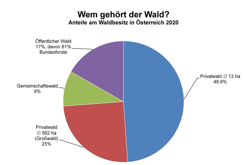 © Kreutzer Fischer & Partner Waldbesitz in Österreich