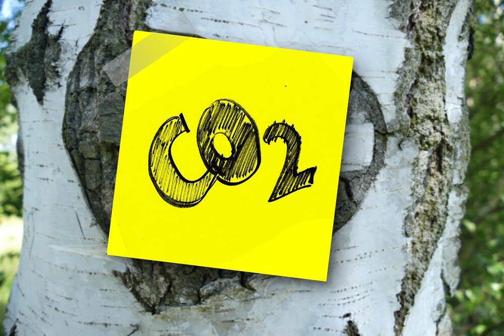 Co2
© Gerd Altmann auf Pixabay Co2