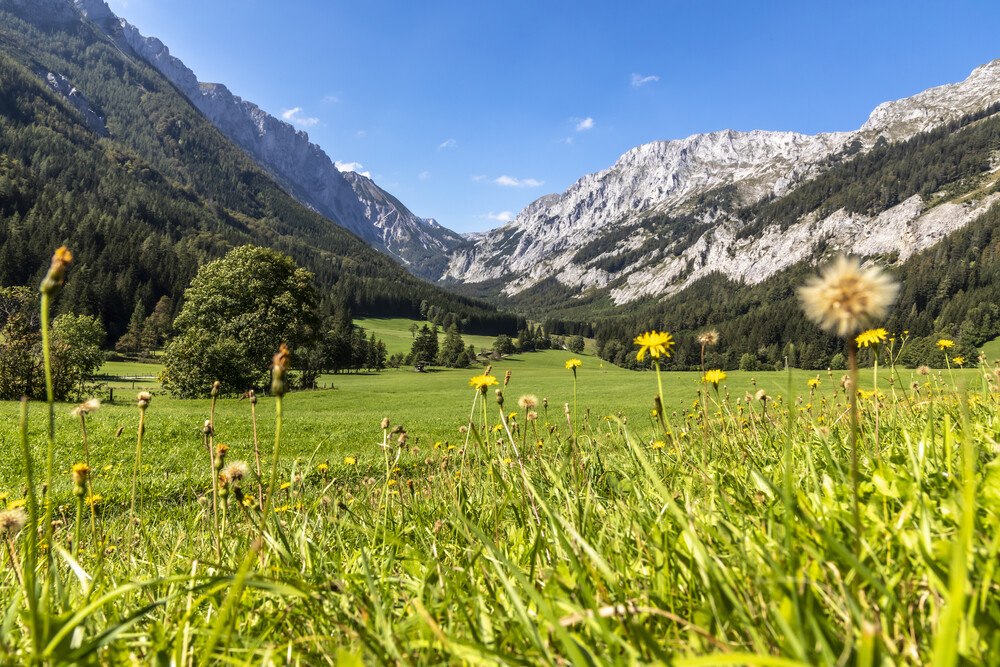 © getty images
Die Steiermark wartet mit einer Rekord-Nächtigungsstatistik auf. Destinationen wir der Hochschwab stehen hoch im Kurs. Die Steiermark wartet mit einer Rekord-Nächtigungsstatistik auf. Destinationen wir der Hochschwab stehen hoch im Kurs.