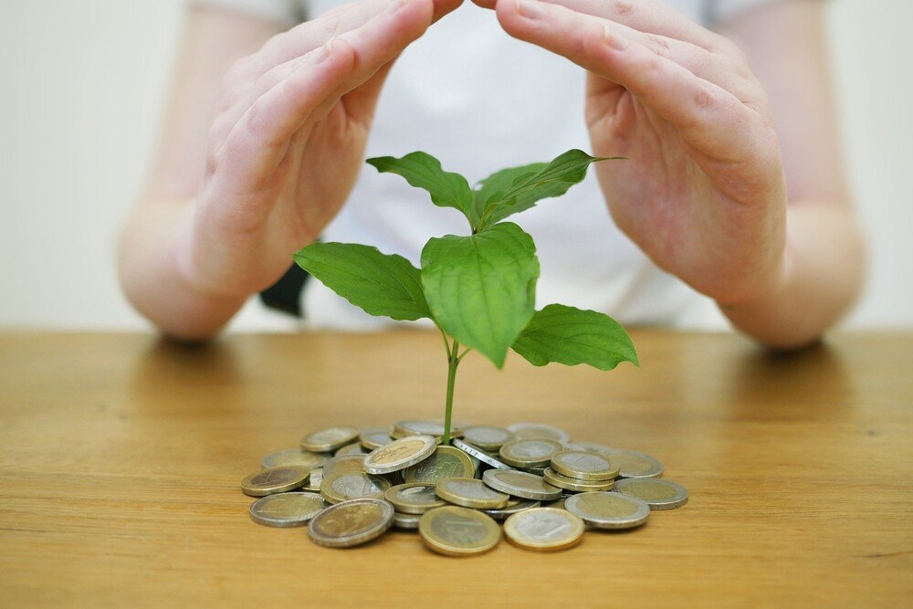 © RoboAdvisor / Pixabay NH Investieren