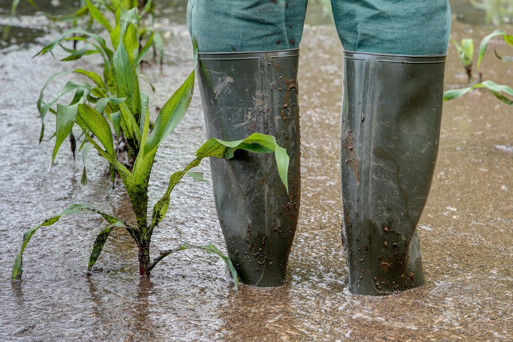 © iStock / Getty Images Plus Klimawandel