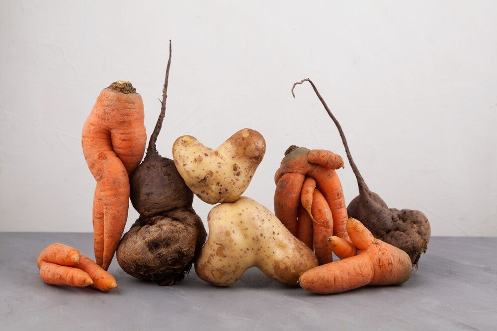 © Getty Images / Aleksei Bezrukov
Symbolbild zur Reduktion von Lebensmittelabfällen. Optisch wenig ansprechende Karotten, Kartoffeln und Rüben.
Symbolbild zur Reduktion von Lebensmittelabfällen. Optisch wenig ansprechende Karotten, Kartoffeln und Rüben.