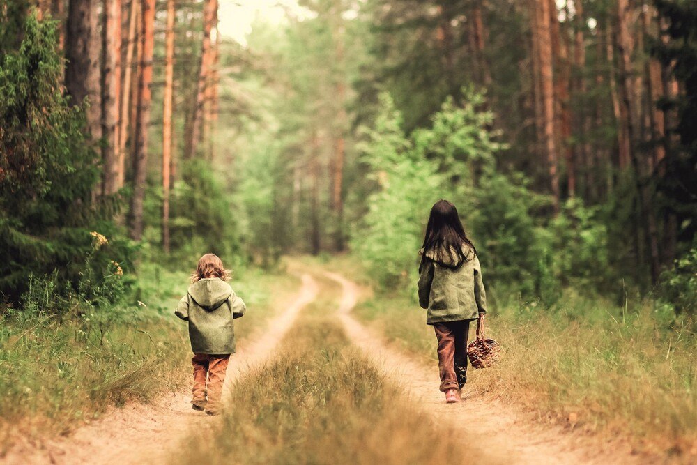 © Caparol Ein gesunder Wald schützt das Klima.