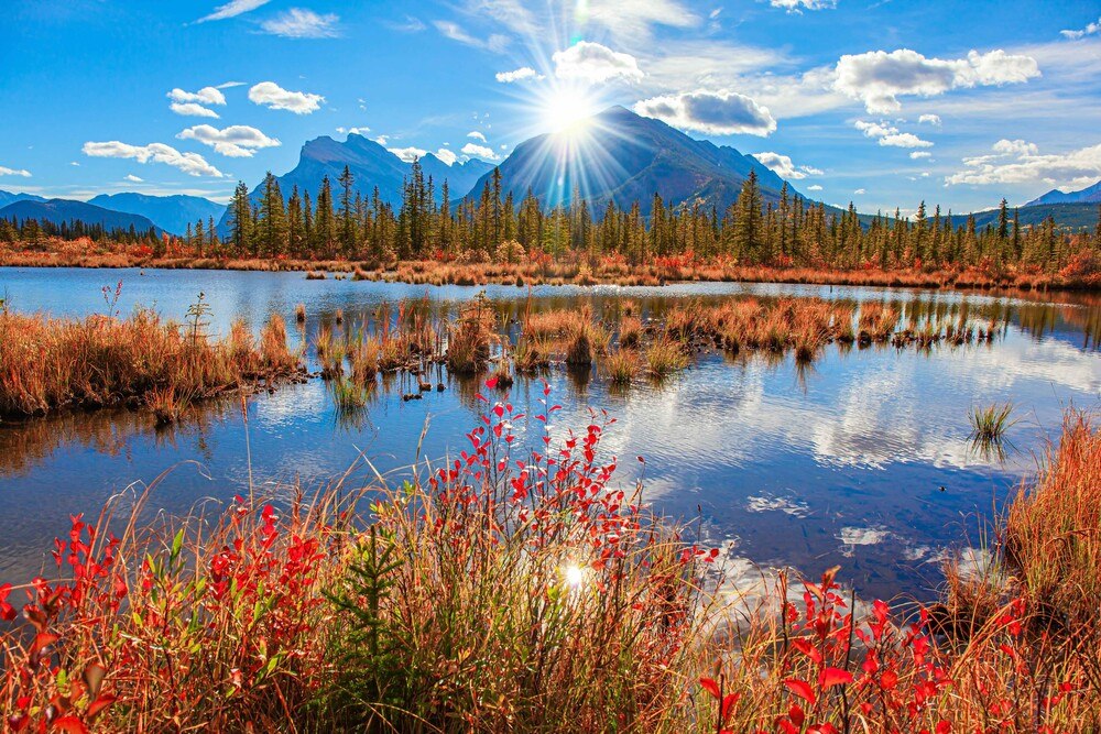 © kavram / iStock / Getty Images Plus / via Getty Images Export nach Kanada