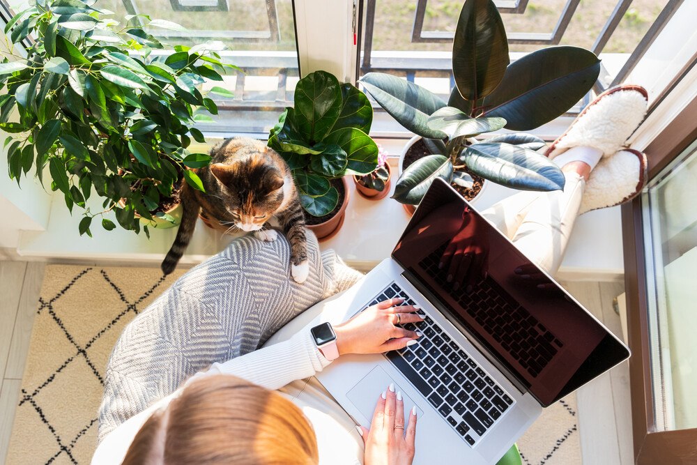 © iStock / Getty Images Plus Homeoffice