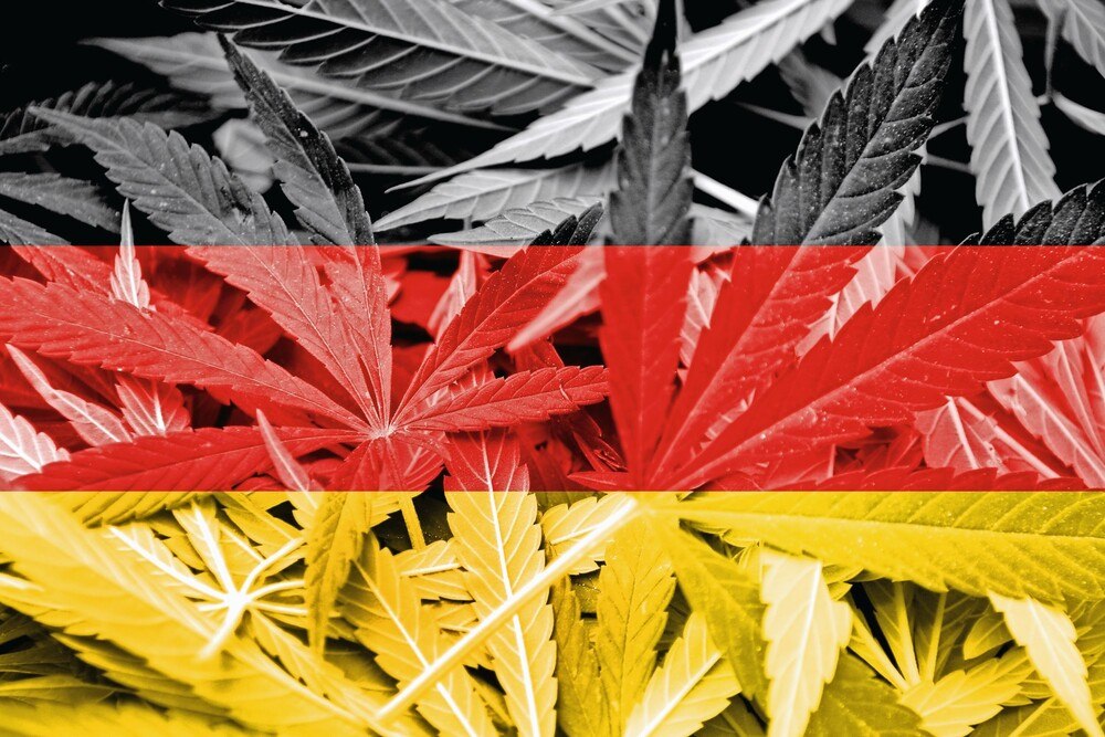 © PromesaArtStudio / iStock / Getty Images Plus Cannabis