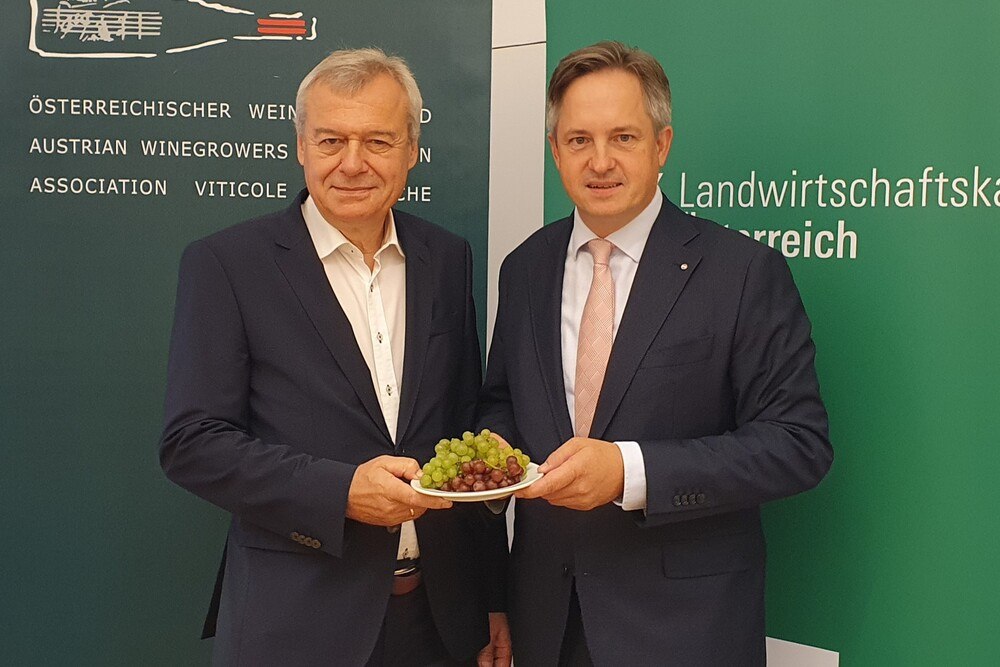 © LKÖ Jung-Leithner Weinernte