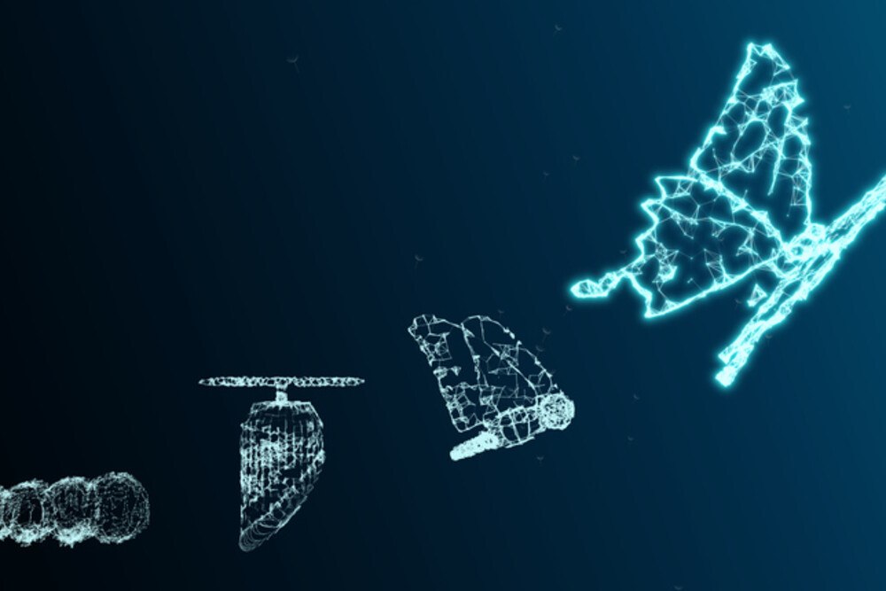 © Chan2545 iStock / Getty Images Plus Digitale Darstellung der Transformation von Raupe zu Schmetterling