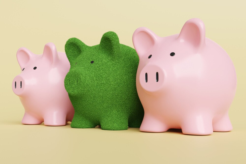 © Dragon Claws iStock / Getty Images Plus Grünes Sparschwein zwischen zwei Pinken