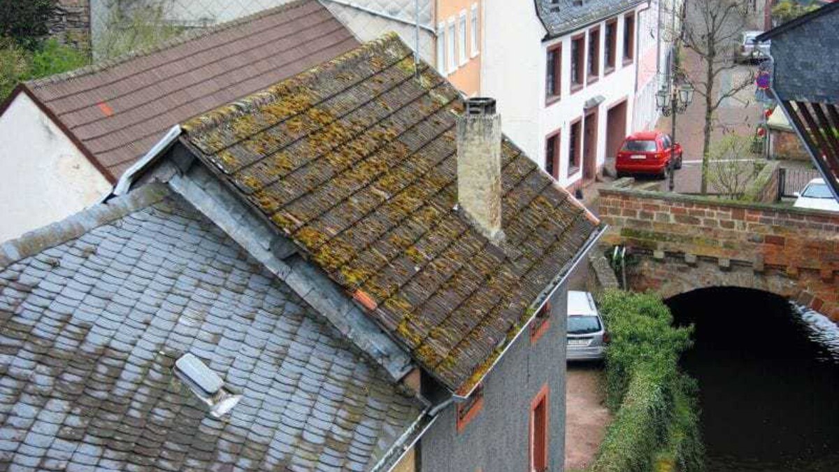 Bemooste Betondachsteine.