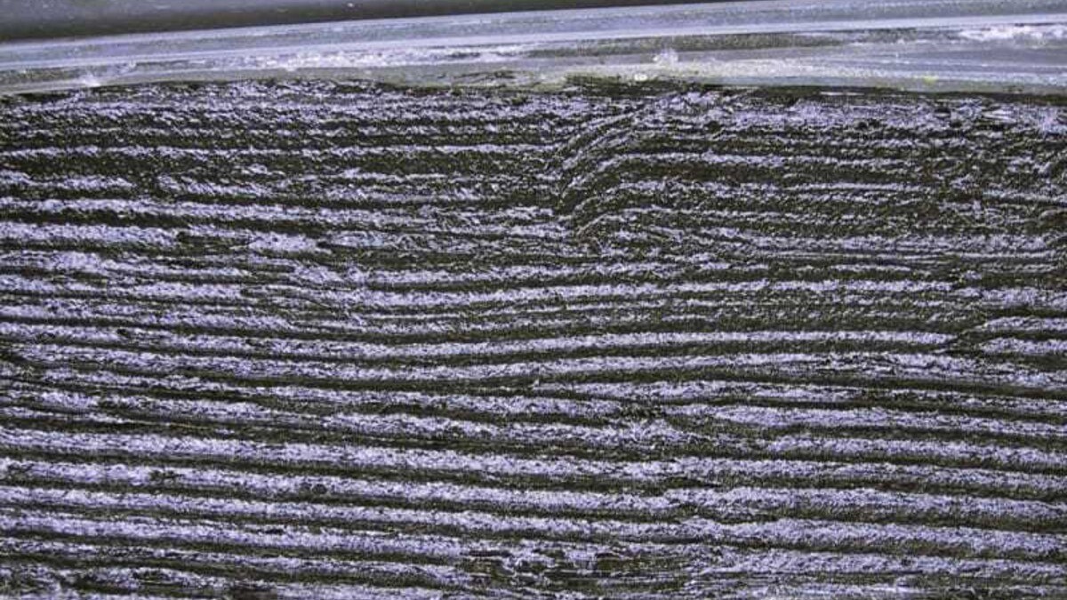 Optimaler Kleberauftrag bei Bitumenkaltklebern. Foto: H. Köck, Rheinzink.