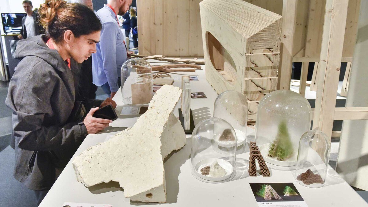 interzum