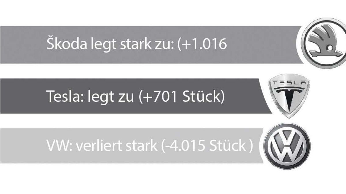 (c) Eurotax