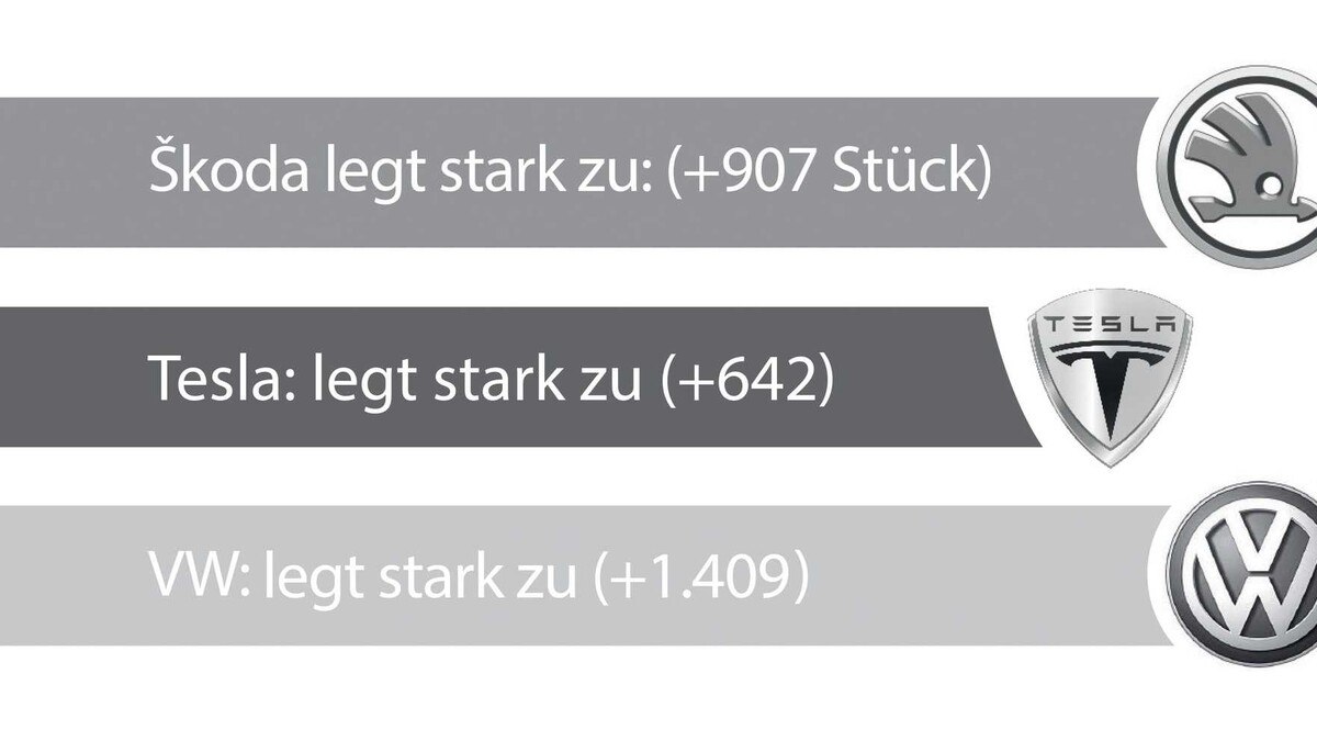 (c) Eurotax