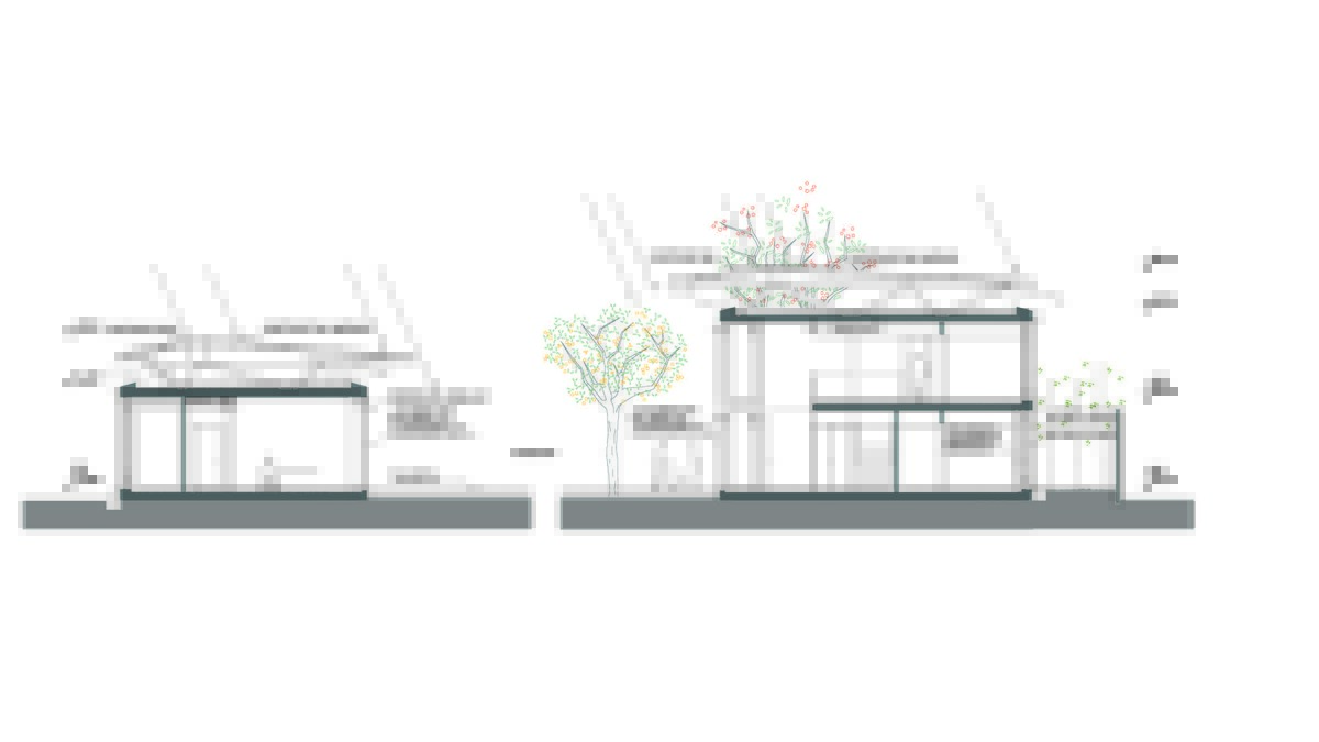 C: Holodeck architects