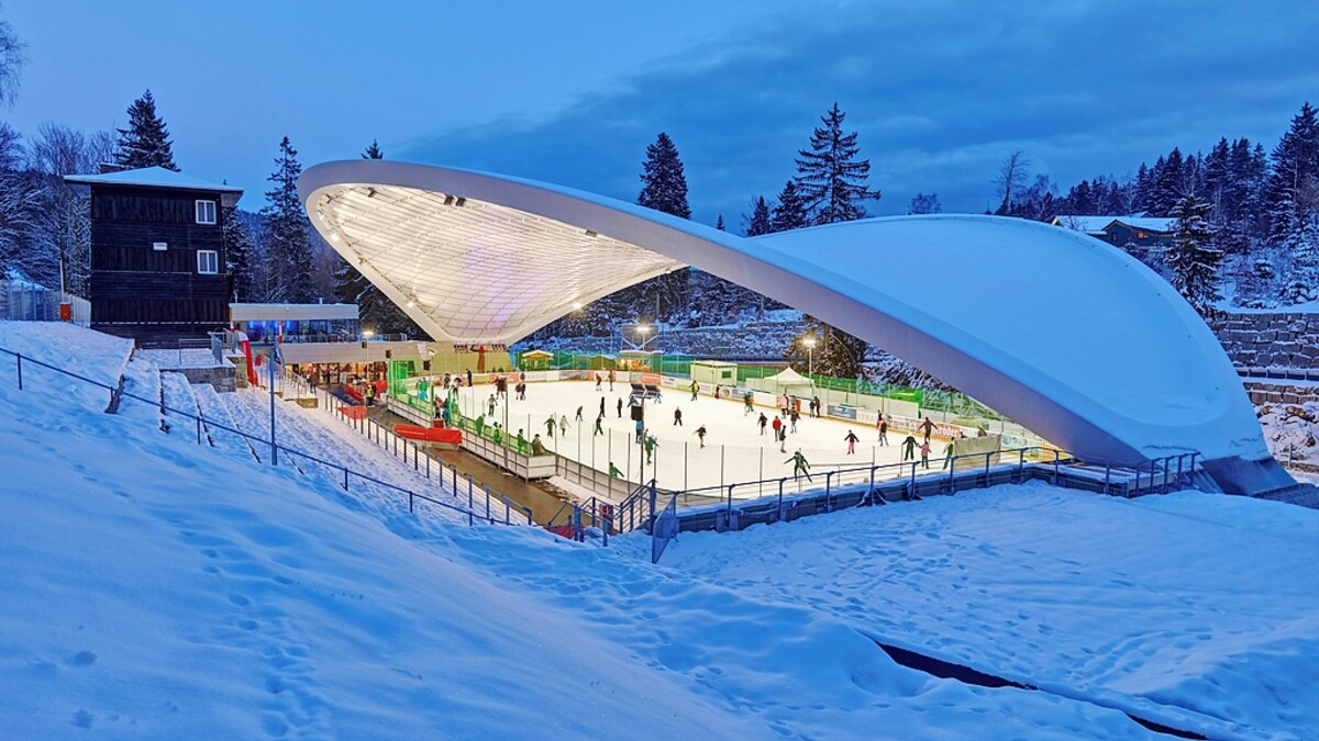 Österreichischer Stahlbaupreis 2019 Sonderpreis Ingenieurleistungen: Schierker Feuerstein Arena von Graft Architekten