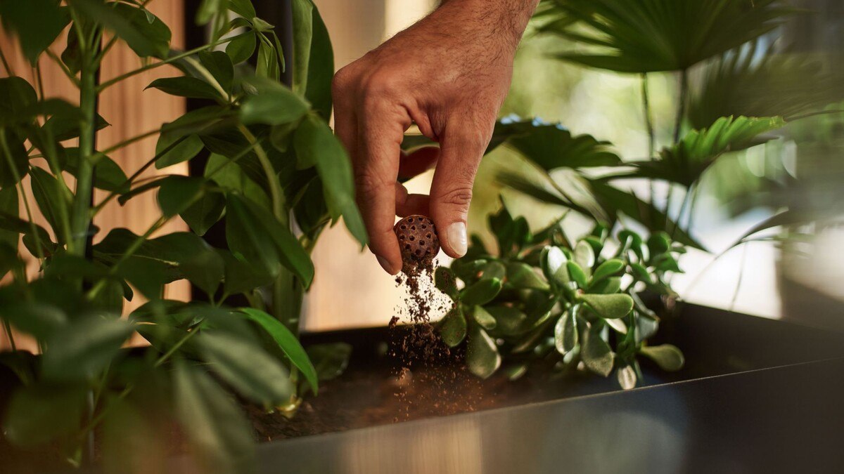Die gebrauchten Coffee Balls lassen sich elegant im Blumentopf entsorgen. Dort verrotten sie.