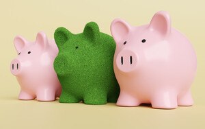 Grünes Sparschwein zwischen zwei Pinken