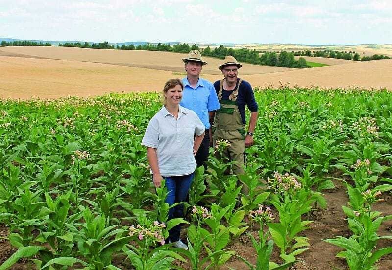 Christina Gschwendtner, Reinhard Leitner und Franz Rappl haben jede einzelne Pflanze gesetzt, gegossen, nachgeharkt.