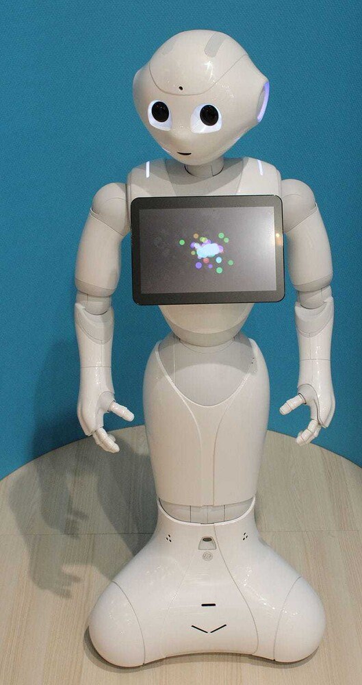 © ZVG Der humanoide Roboter Pepper dient auf Kreuzfahrtschiffen zur Unterhaltung,