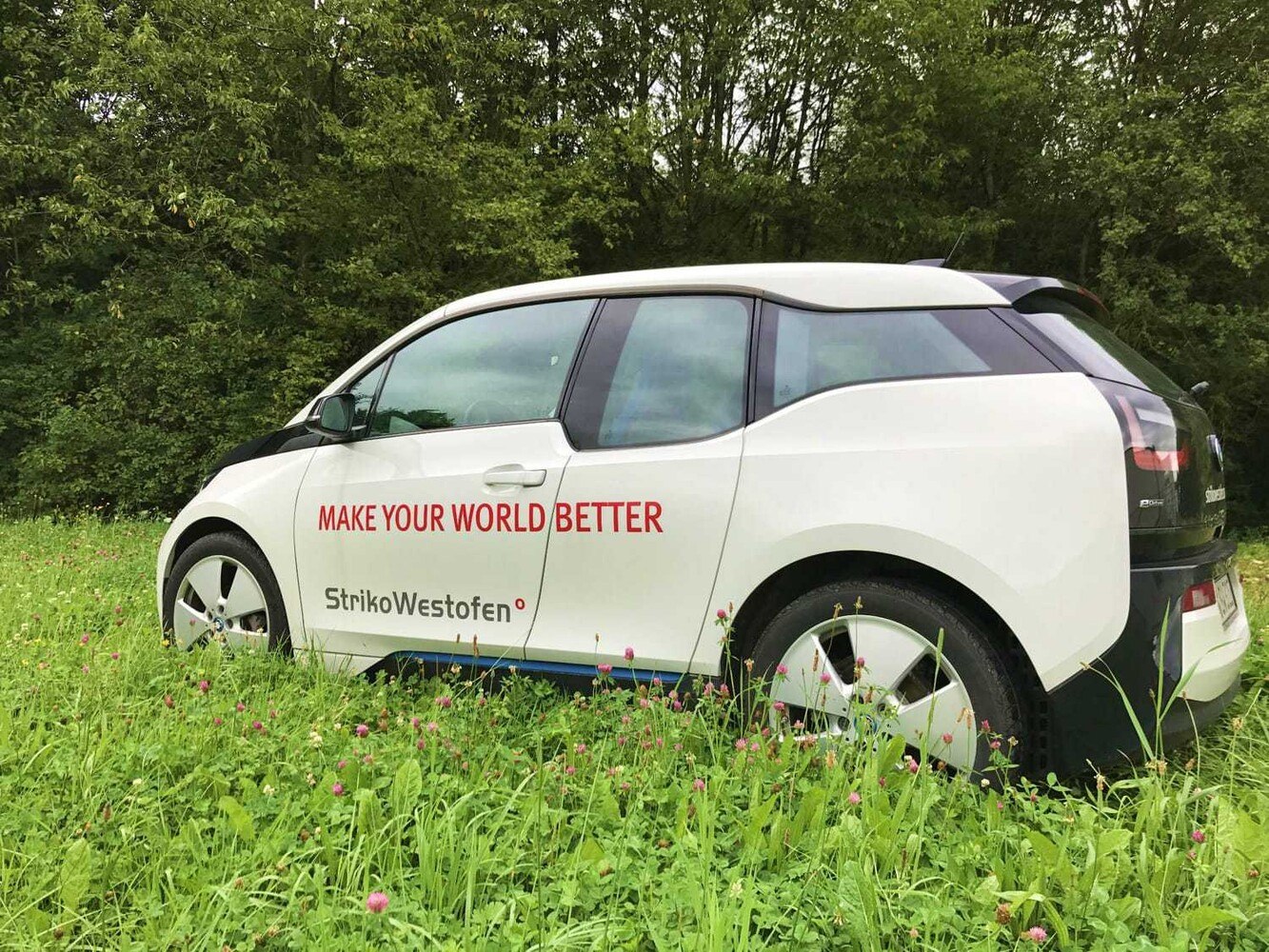 Die Autobranche verzeichnet einen starken Trend in Richtung Elektromobilität.