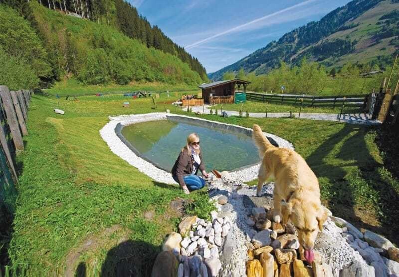 Urlaub für den Hund in Grimming: mit hotelnahem Activity-Parcours.