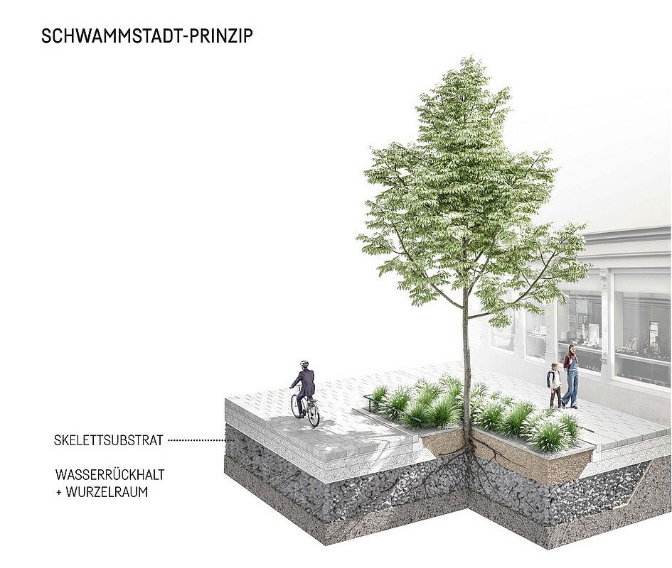 Das Schwammstadtprinzip sorgt durch Baumscheiben-integrierte Regenwasserspeicherung für ausreichende Versorgung der Pflanzen mit Wasser.