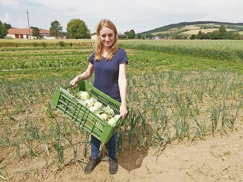 Regionale Produkte kommen am besten aus dem Eigenanbau.