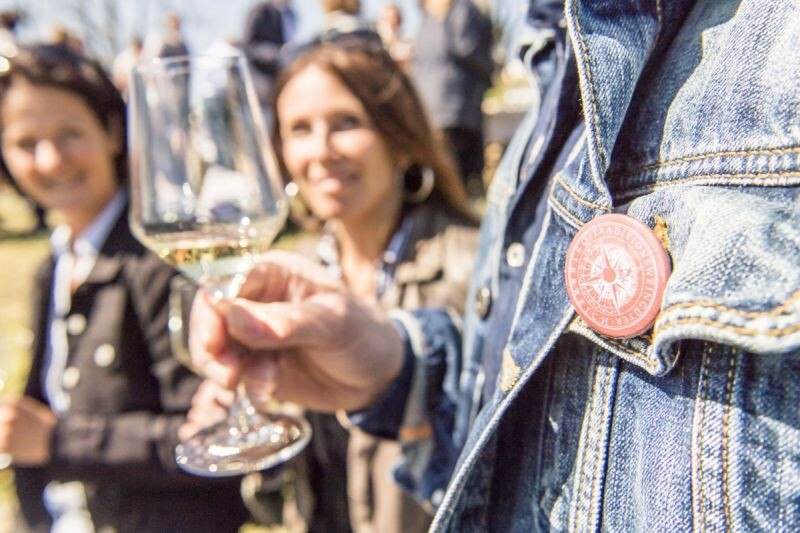 © Robert Herbst Mit dem Tour de Vin-Button kann man sich an zwei Tagen einmal von Wien über Carnuntum bis hin zum Kamptal und wieder zurück verkosten.