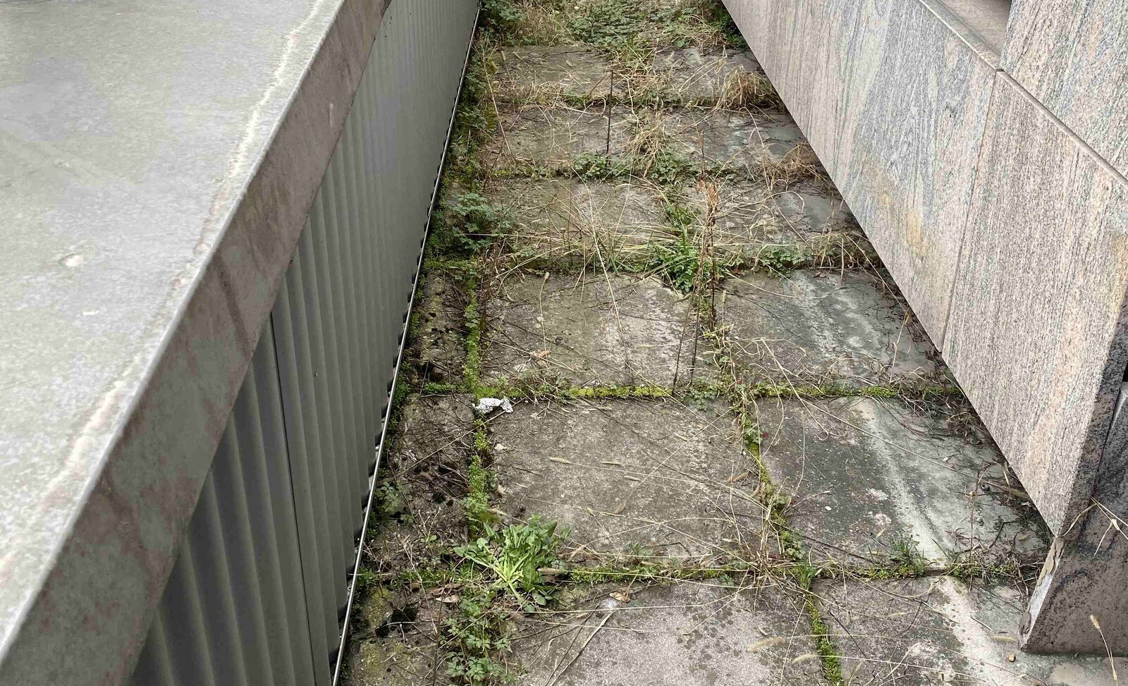 Ein klassische Ursache für Schäden: Die fehlende Reinigung der Terrassenplatten und Abläufe.