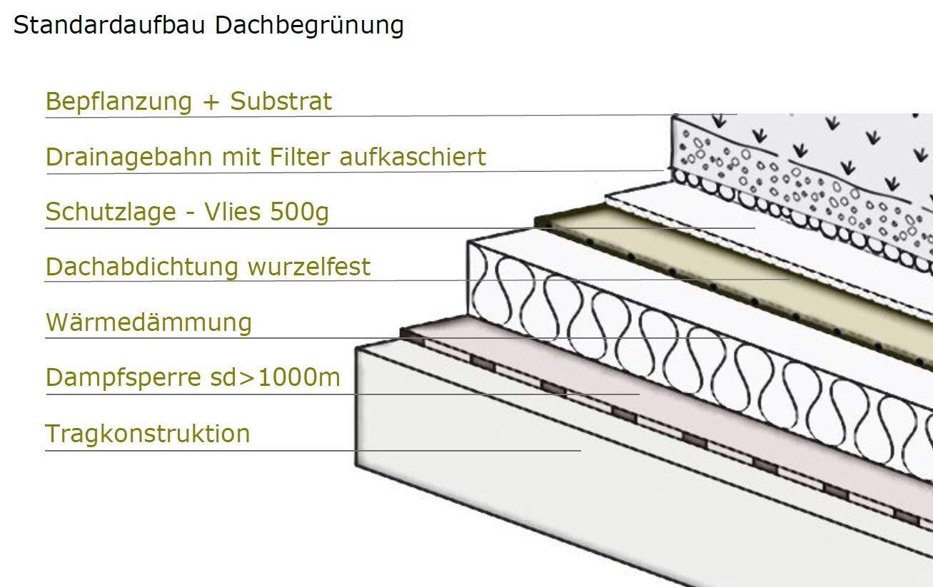 Standardaufbau einer Dachbegrünung.