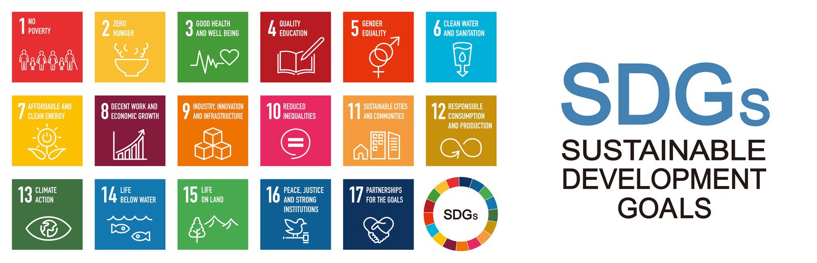 Die 17 Nachhaltigkeitsziele der UNO, die SDG - Social Development Goals