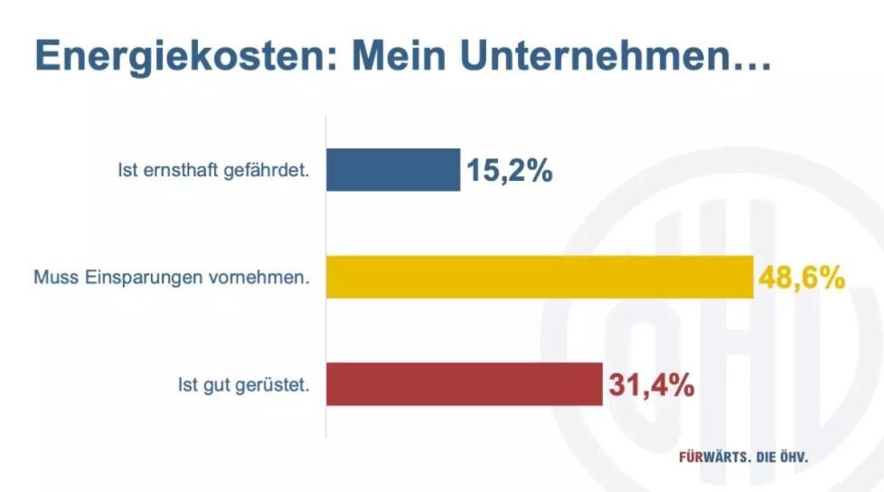 Die aktuelle Umfrage der ÖHV (stammt noch vor Kriegsausbruch) zeigt, dass die Mitgliederbetriebe schon Ende Februar mit den Energiepreisen zu kämpfen hatten. 