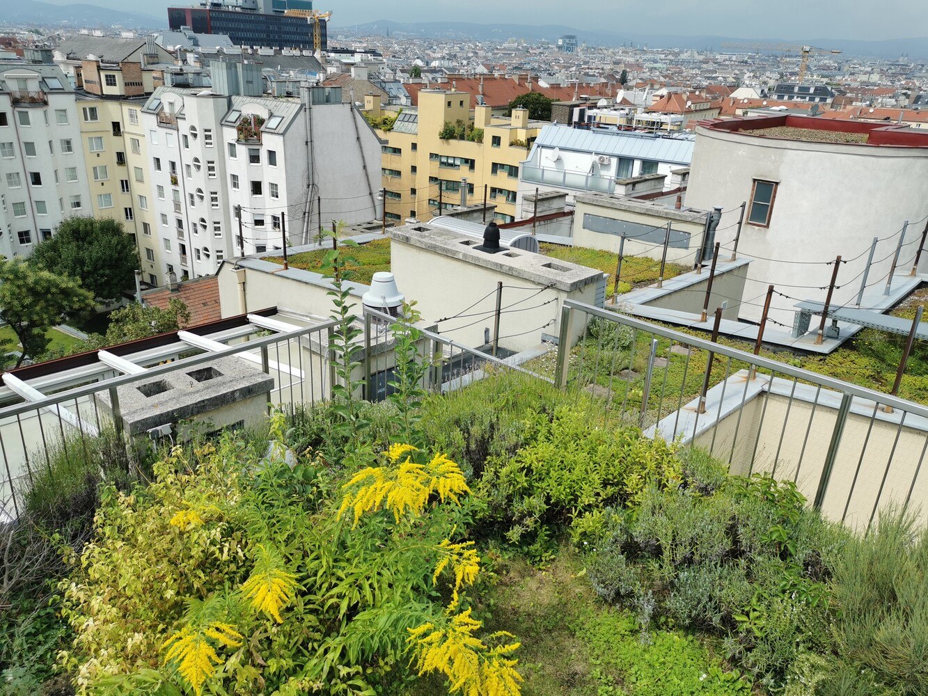 Der Grünstattgrau-Dachgarten in Wien-Favoriten mit Blick über Wien.